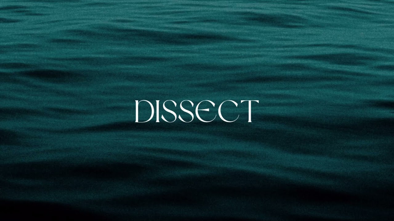 DRIGO - Dissect
