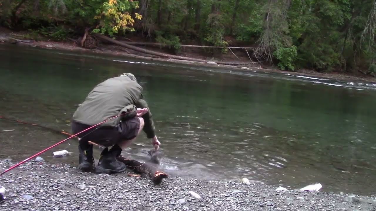 The Shore Fisherman Season 4 Episode 21