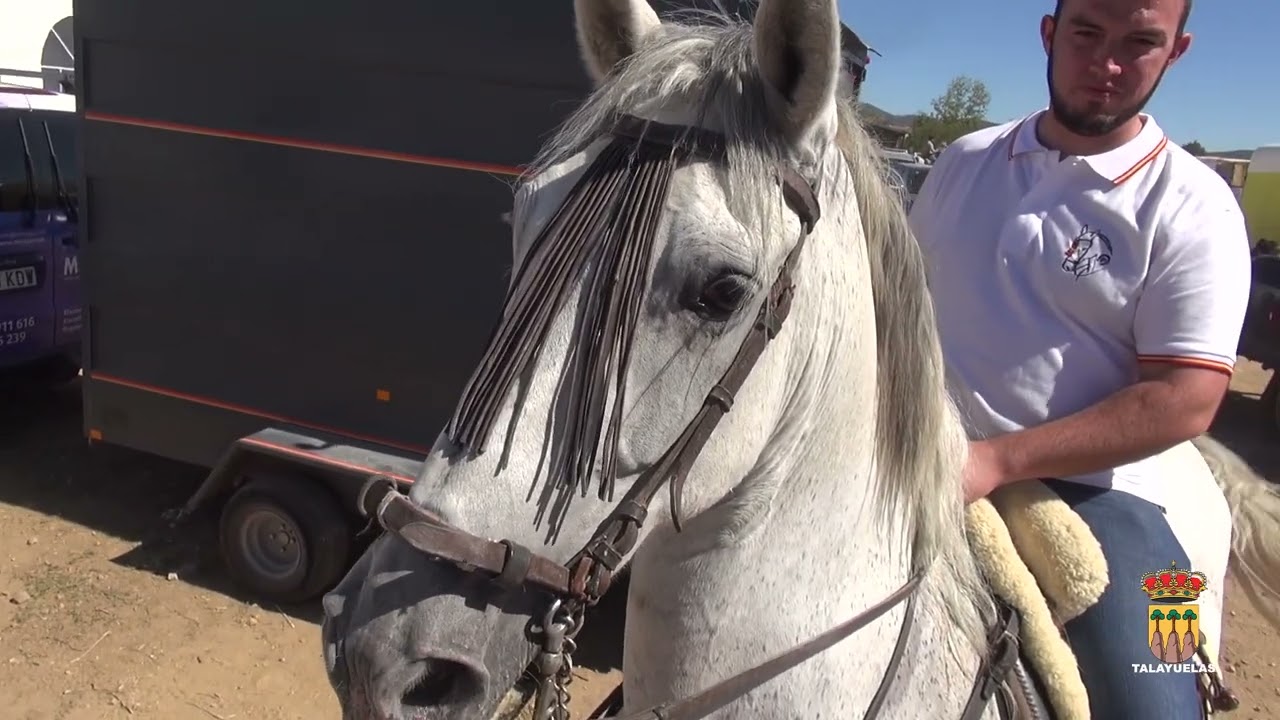 Landete (Cuenca) Feria de San Miguel. Encierro a Caballo 2022