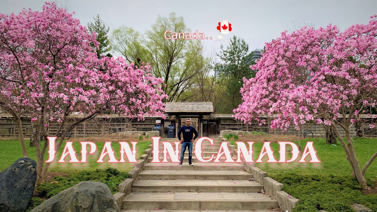 Kariya Park Mississauga tour