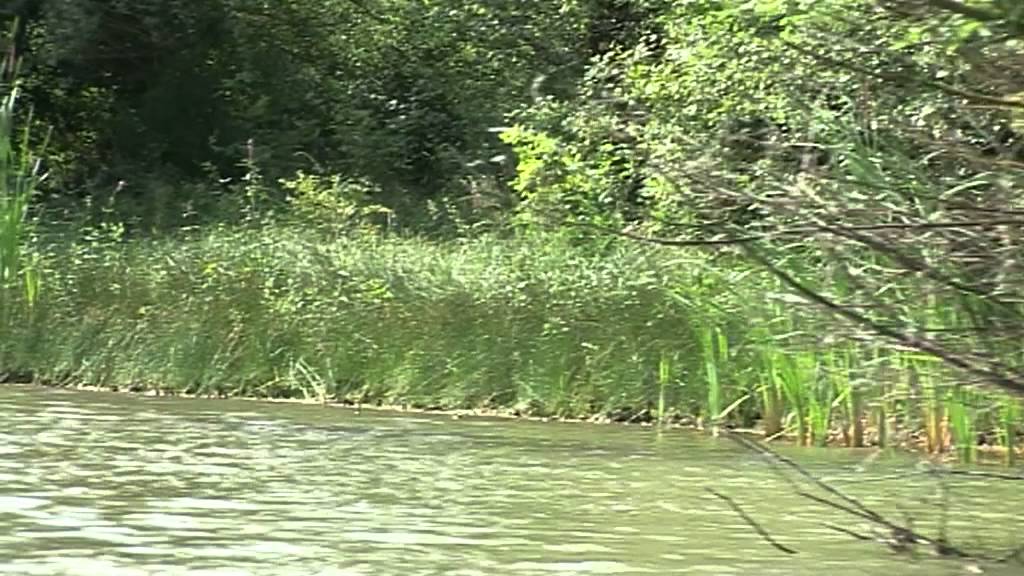Markovacko jezero