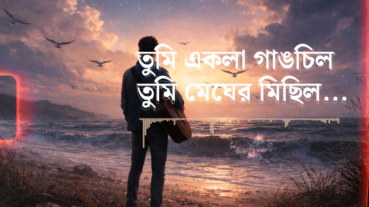 তুমি একলা গাঙচিল | Raisul Sohan