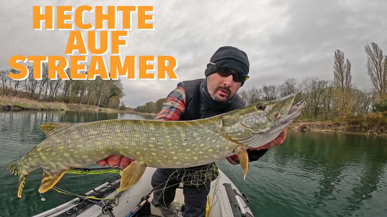 Fliegenfischen auf Hecht im Winter im glasklaren Fluss