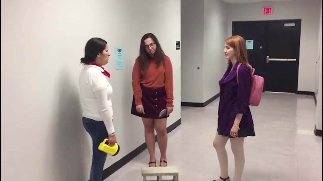 Parody--ScoobyDoo AP Government Final Project