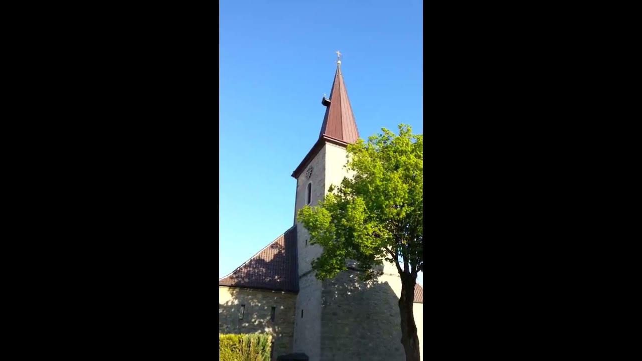 Plenum der Kirche Sankt Georg und Sankt Juliana in Küllstedt. Ldkr. Eichsfeld.