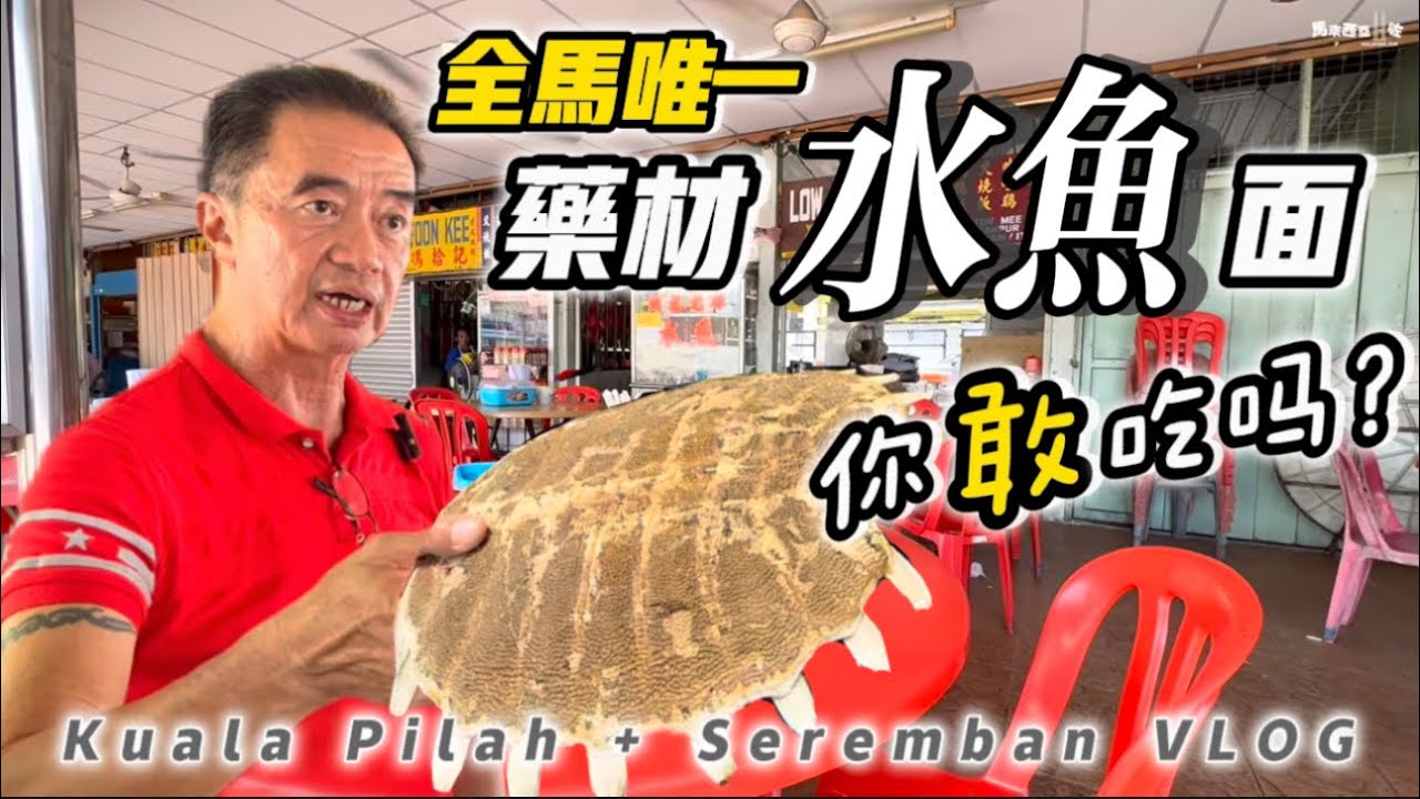 【全馬唯一  你敢吃嗎？】賣水魚要特別牌照？庇勞 芙蓉 美食探店