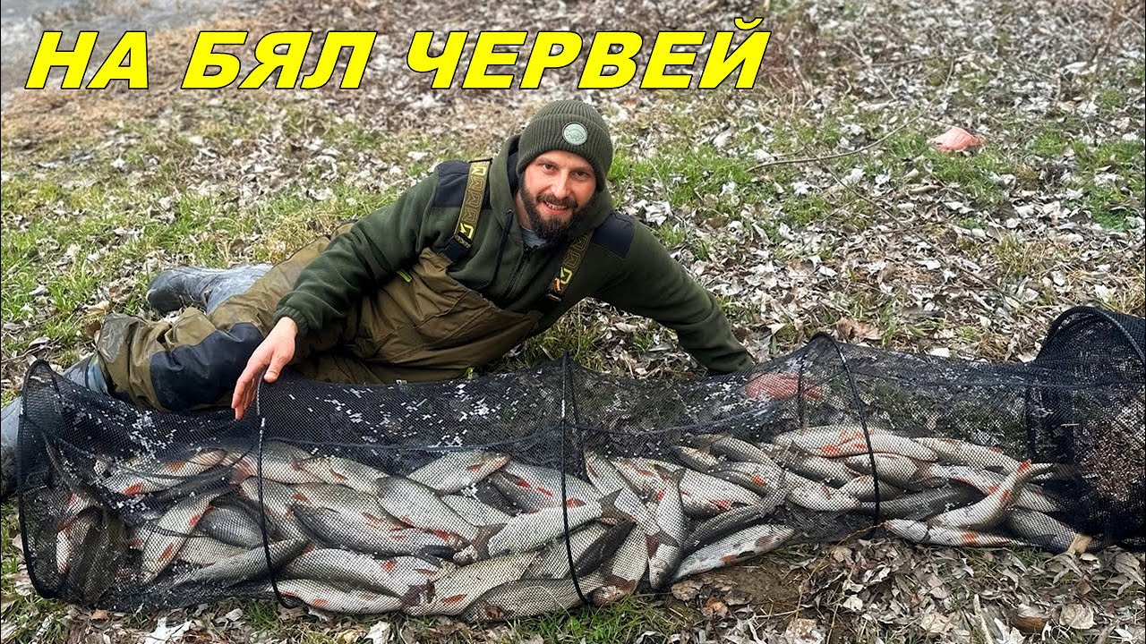 ГРУБА СЕЛСКА ПРОЯВА - РИБОЛОВ с БЯЛ ЧЕРВЕЙ на РЕКА през ЗИМАТА