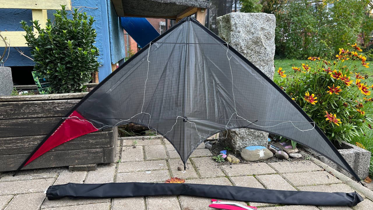 Buena Vista Kites X4I from 1995
