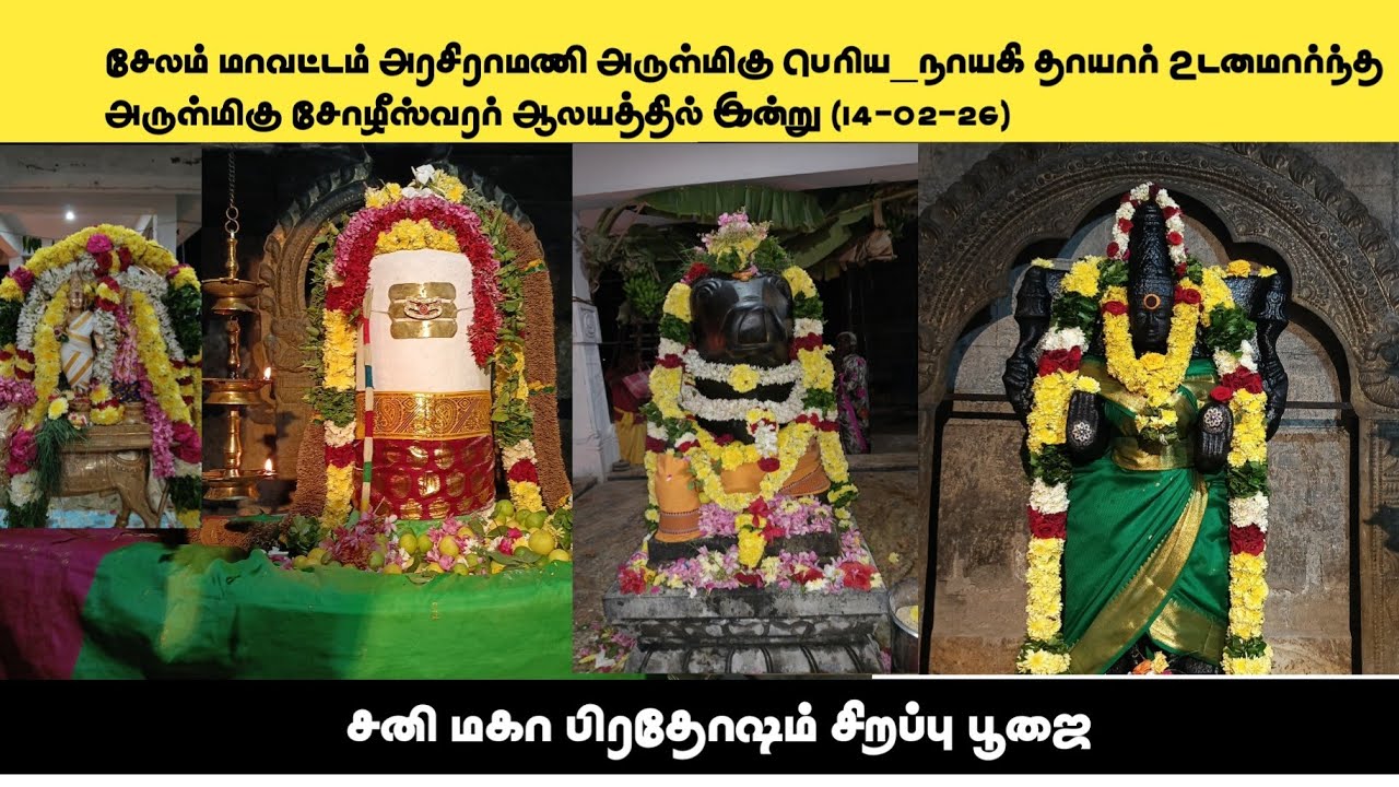நமசிவாய முழங்கத்தில் சனி மகா பிரதோஷம்  சோழீஸ்வரர் 🙏 #Omnamashivaya salem-Arasiramani| Shivan Mayel