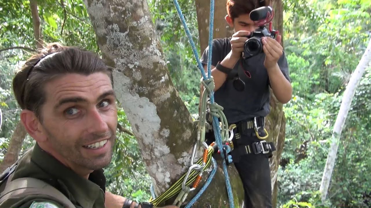 Chanee dan Andrew di atas pohon... [CHANEE DANS LA CANOP&Eacute;E AVEC SON FILS]