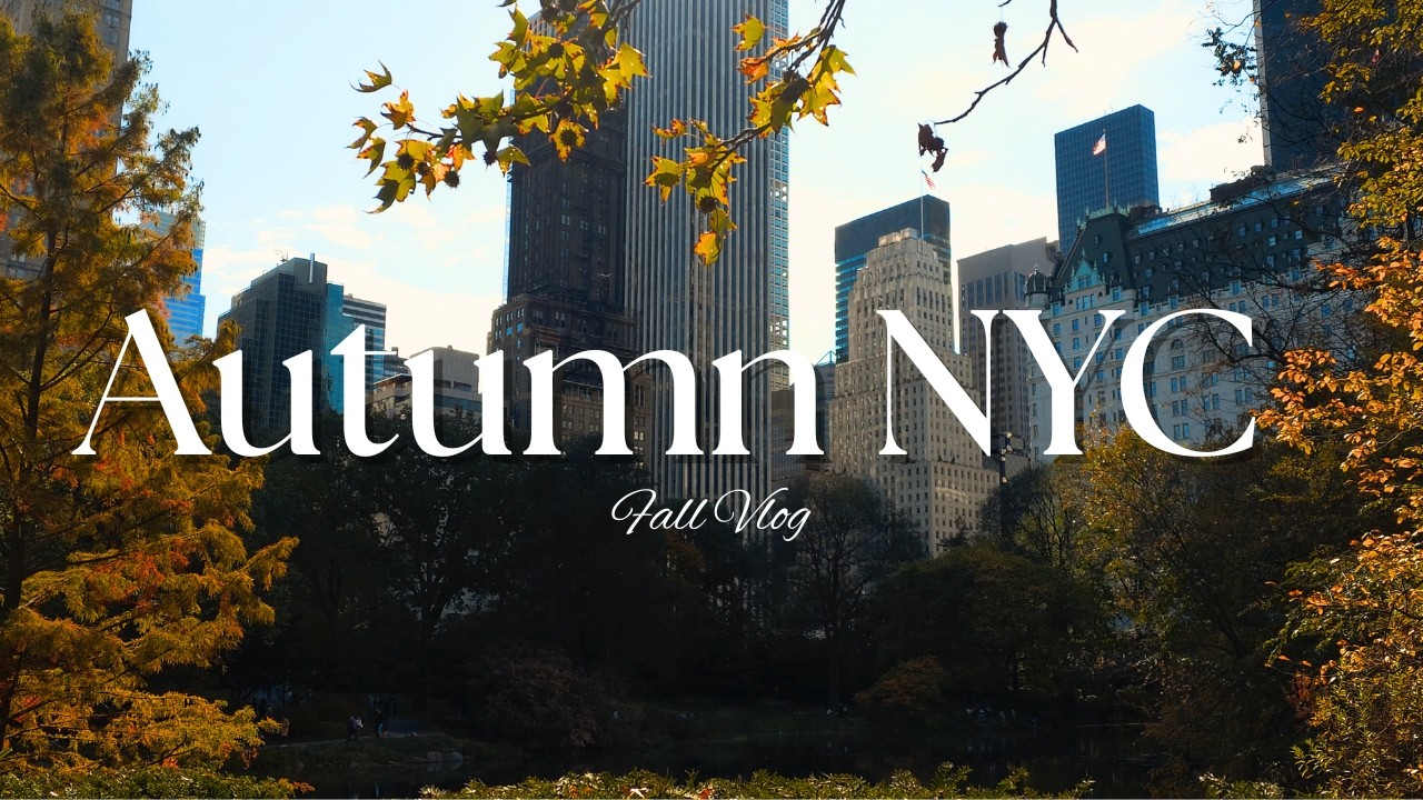 Central Park Colors & Art Galleries | NYC Fall Cozy Vlog