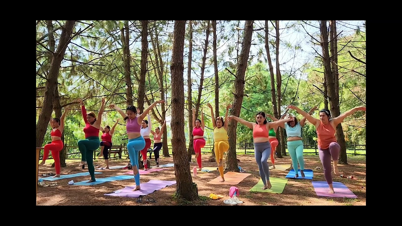 LiLyogini - You are the Reason by Calum Scott