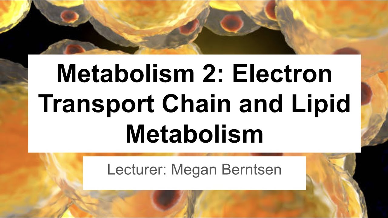 MCAT Question-Based Review Week 4: Metabolism 2 (Electron Transport Chain and Lipid Metabolism)