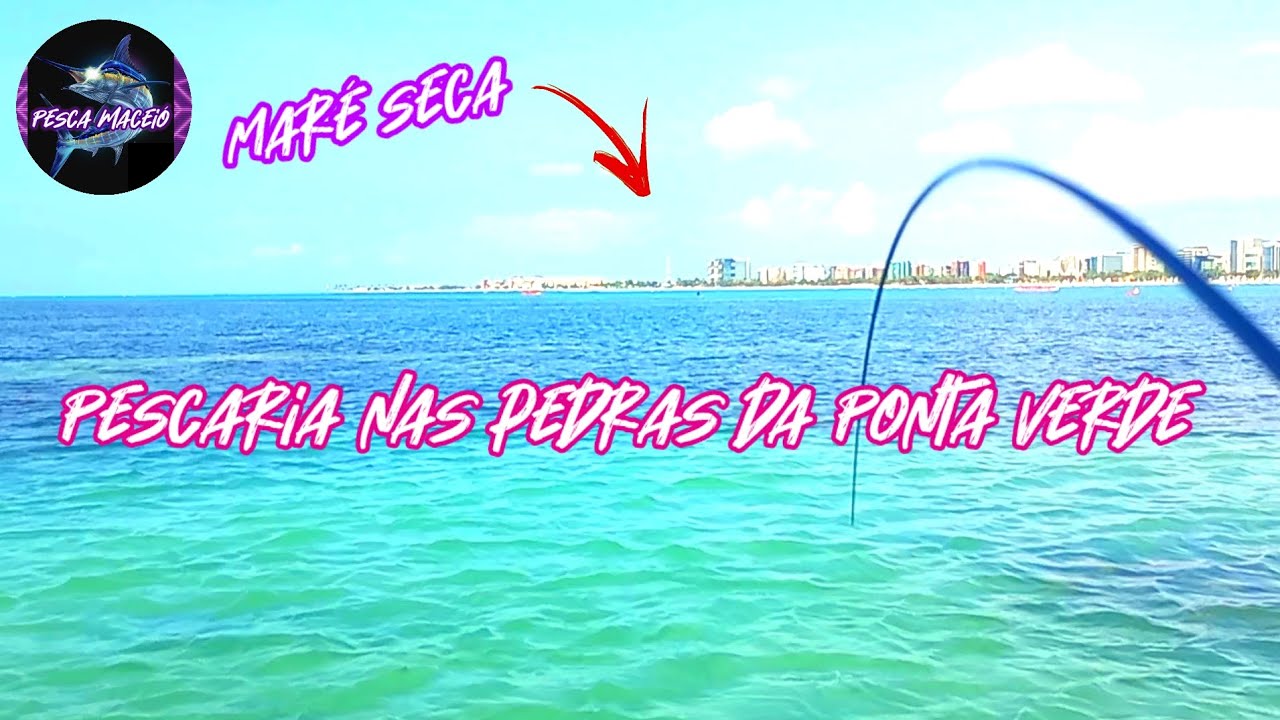 Pescaria na maré seca da ponta verde!!! Você já pescou aqui?😯🎣
