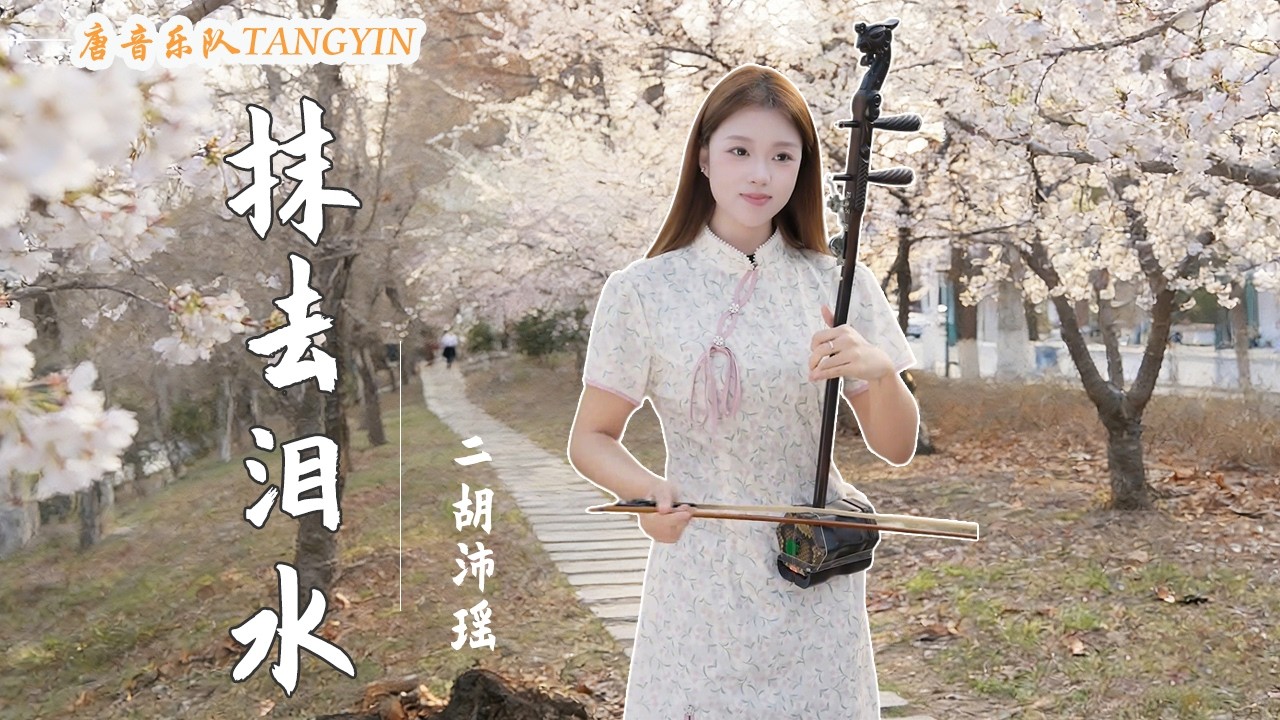 二胡Erhu【抹去淚水】韓寶儀 Cover by Erhu🍑沛瑤 | 愛情常遇暴風雨/人生難免不如意 | Erhu Live Tangyin Chinese Music 唐音樂隊tangyin