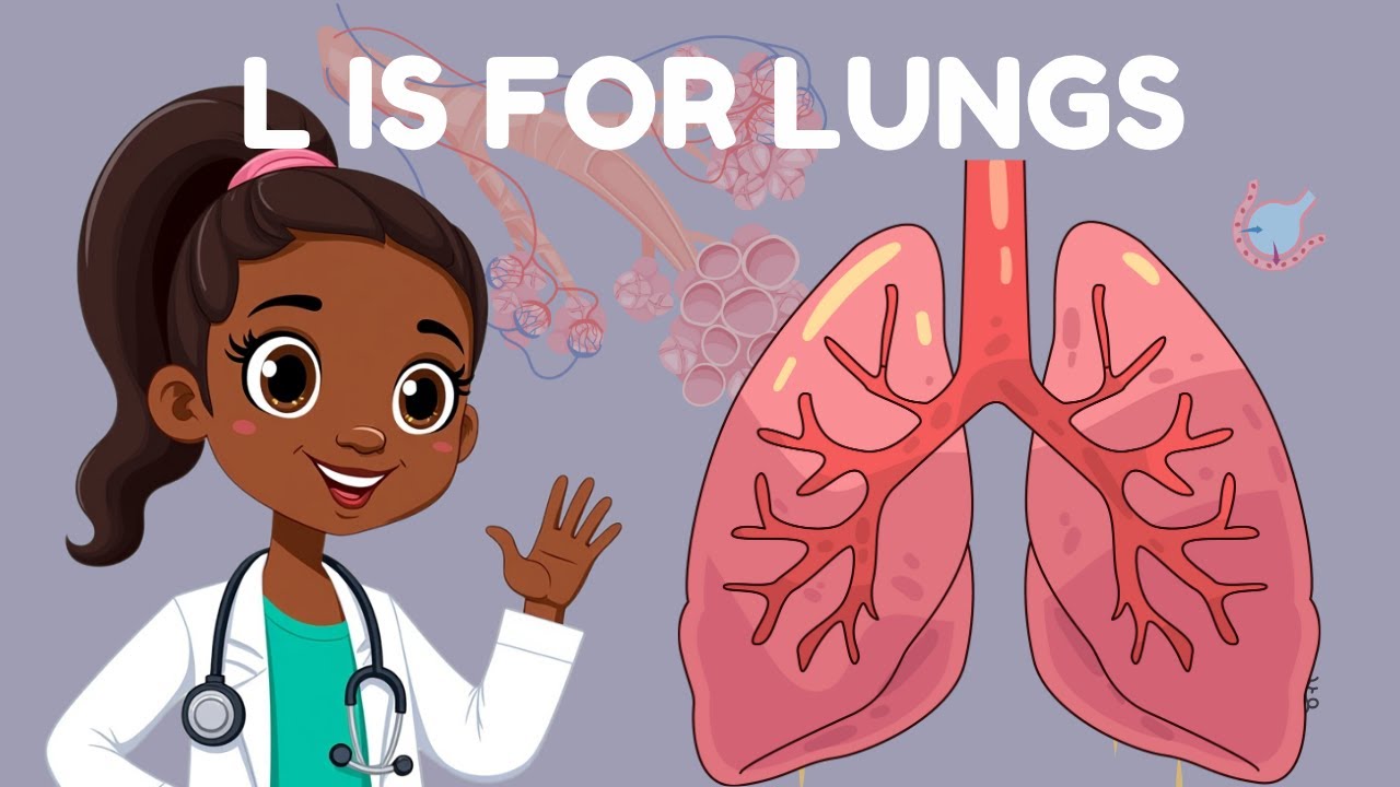 L is for Lungs! Breathe In, Breathe Out with Dr Dee | How Do Lungs Work? | Little Med Explorers