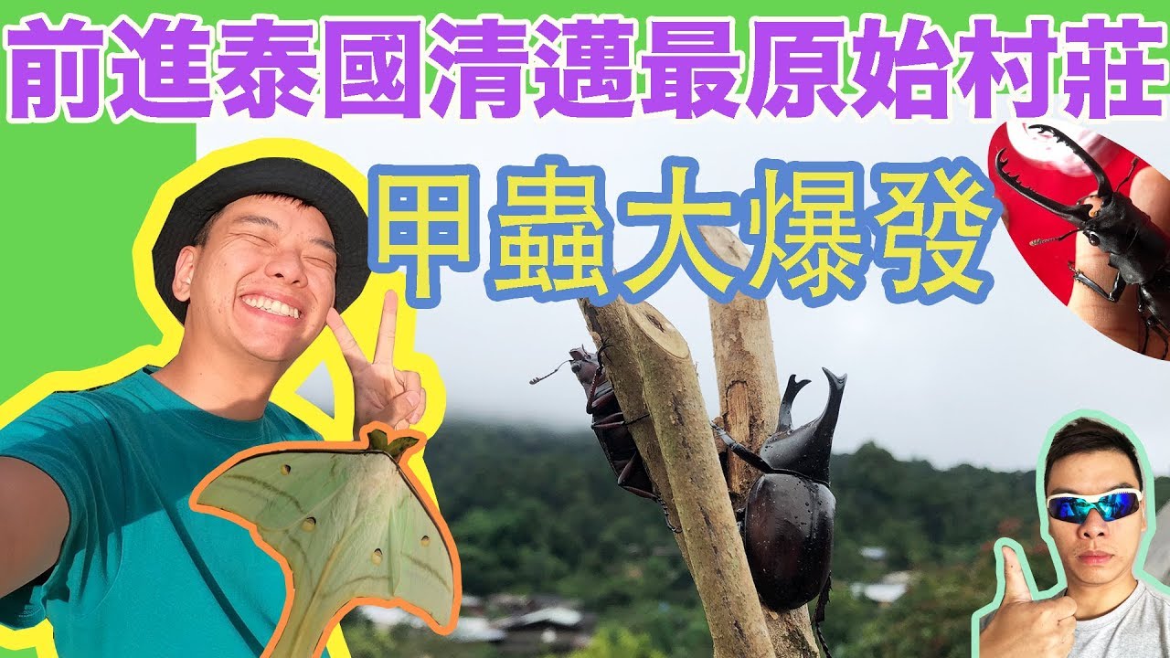 【蕭志瑋生態筆記】前進泰國清邁最原始的小鎮