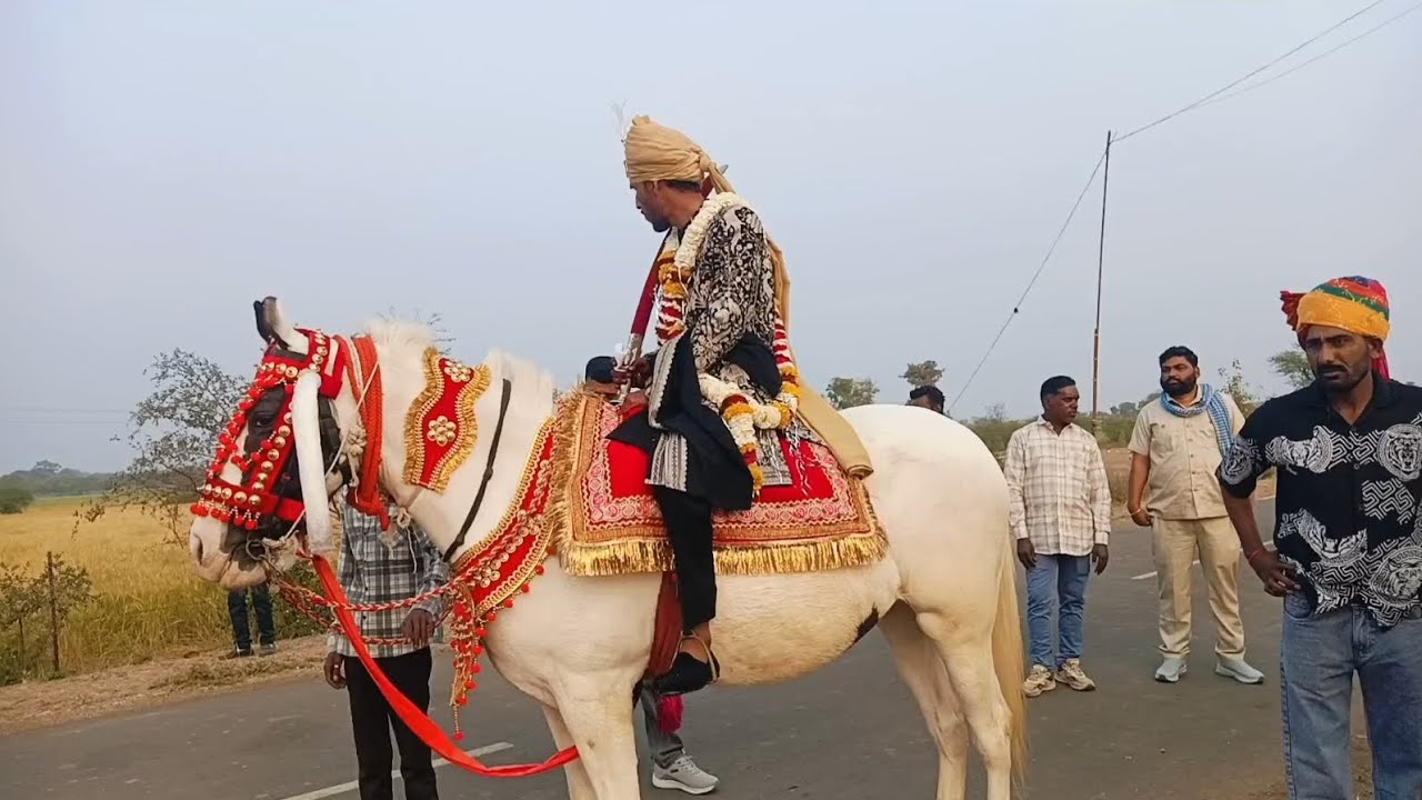 Day 8 puskar bhai ki bindoli 😊🥰
