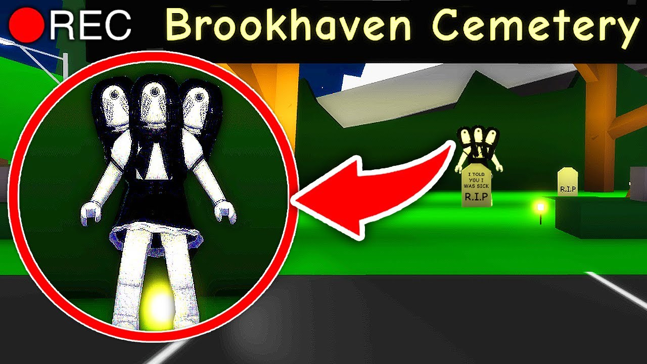 i caught a WEIRD GHOST SOUND on camera in Brookhaven..