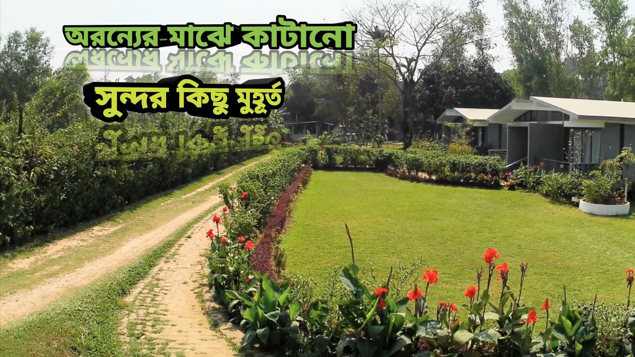 অরন্যের দিনরাত্রি রিসোর্ট || Oronner Din Ratri Resort || Sreemangal || Sreemangal Budget Resort