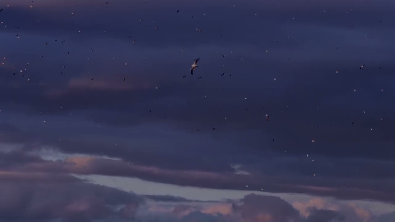A Thin Place (contemplative video)