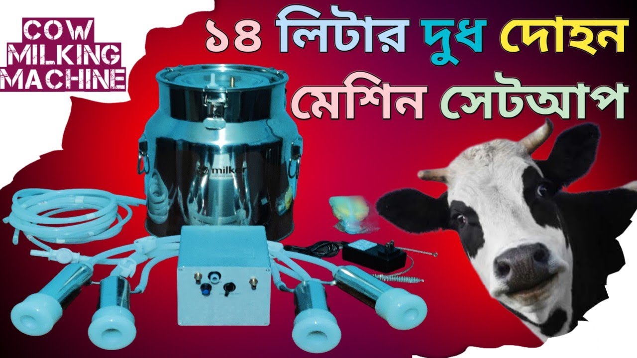 গাভীর জন্য ১৪ লিটার দুধ দোহন মেশিন – সহজ সেটআপ ভিডিও | সহজেই কিভাবে ব্যবহার করবেন ভিডিওতে দেখুন