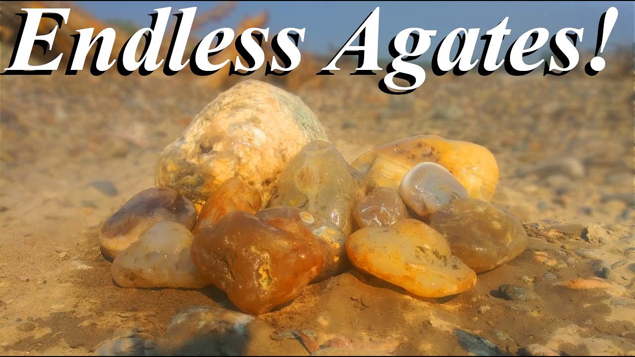 AGATES Everywhere! Awesome Full Day of Rockhounding the Yellowstone River for Montana Agates!