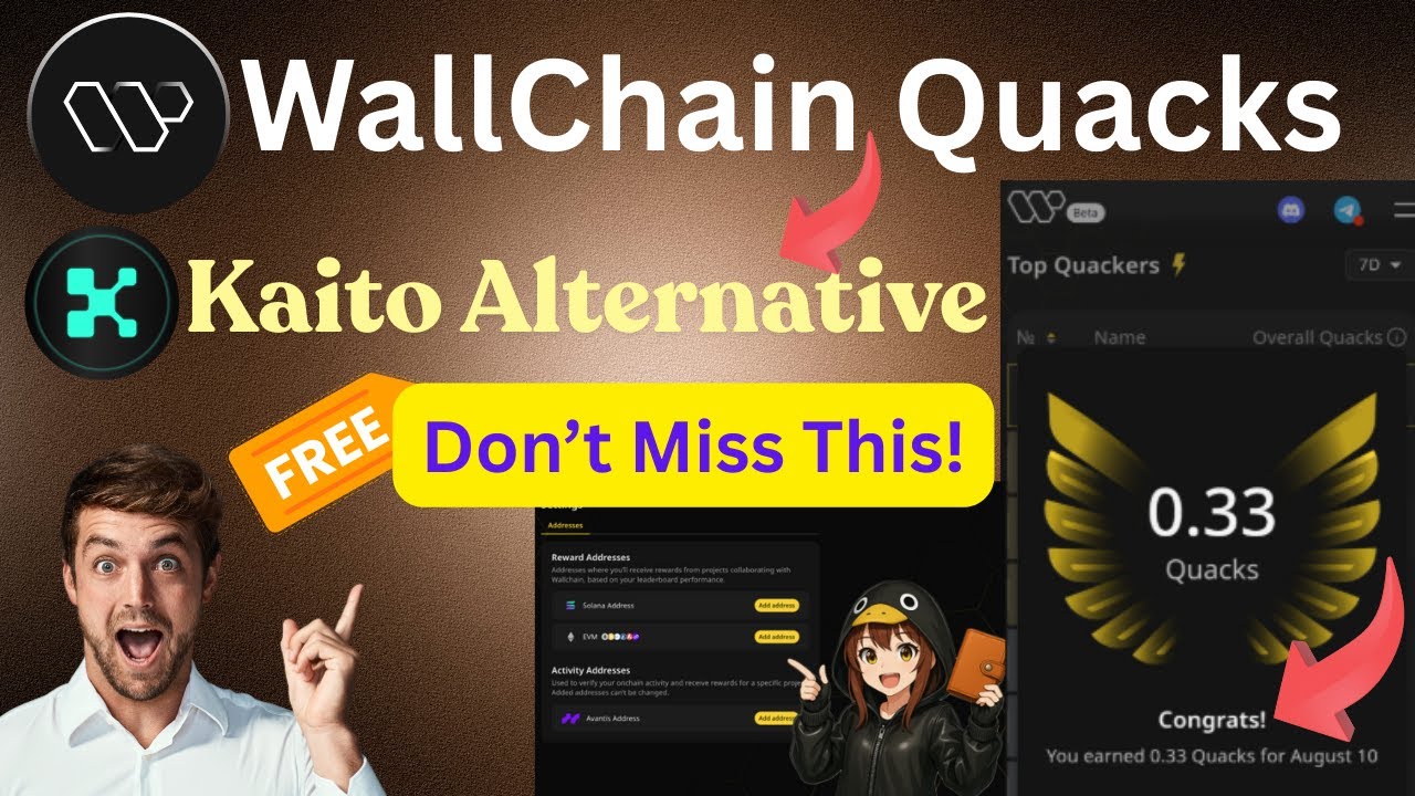Wallchain Quacks Complete Guide | Kaito Alternative | Social-Fi Airdrop