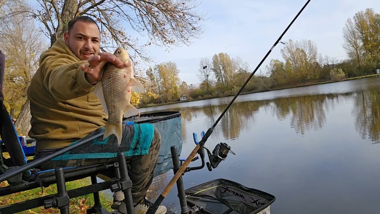 Feeder Ribolov Madjarska Gold Carp Novembar I