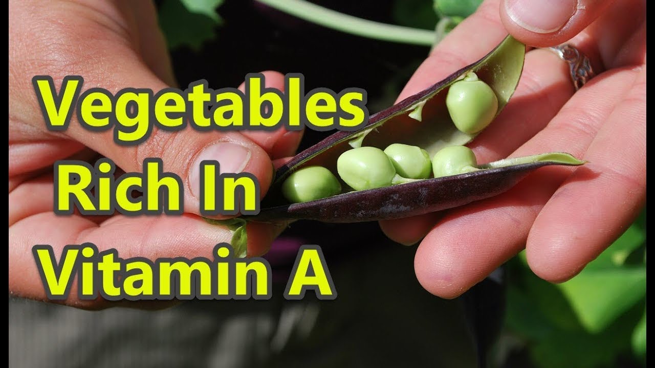 Top 10 Vegetables Rich In Vitamin A