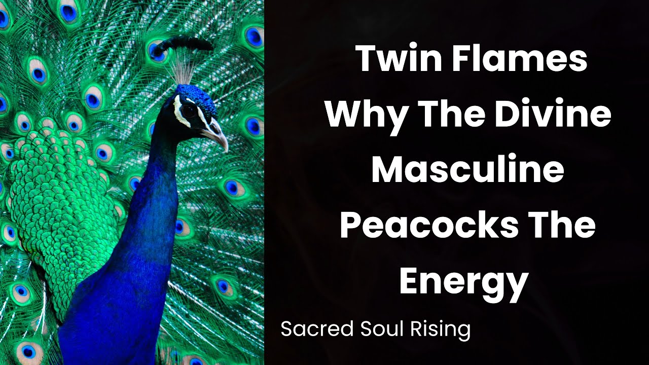 Twin Flames 🔥 Why The Divine Masculine Peacocks The Energy 🦚 