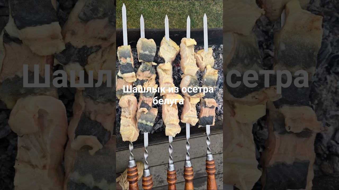 шашлык из осетра белуга. #fishing #прудподключ #fish #рыбалканаозере #рыбалка #рыбалканафидер #узв
