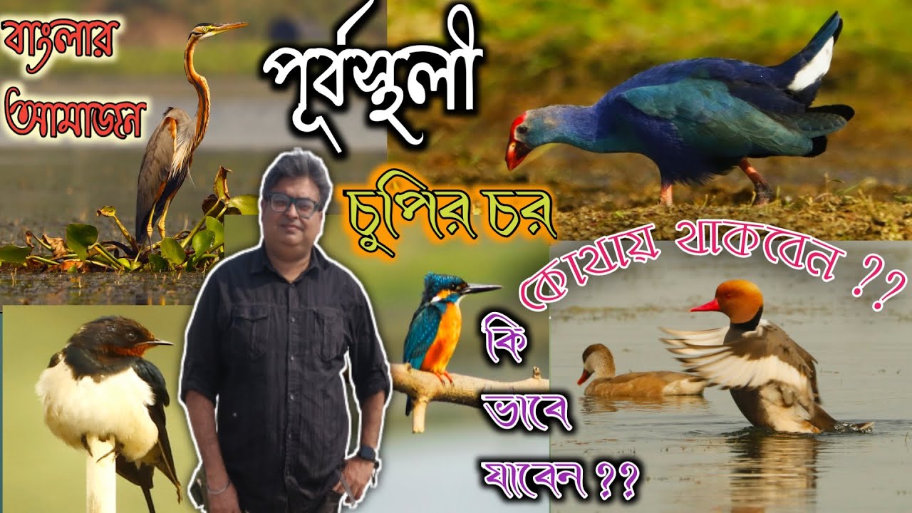 One Day Tour in Amazon | Purbasthali | Chupi Chor | Banglar Amazon | Kasthashali Pakhiralay |