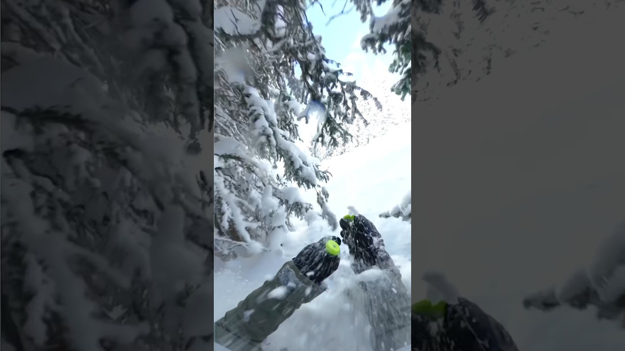 just a CLASSIC tree run at PARK CITY! 🌲 🌳 #skiing #treeskiing #parkcity