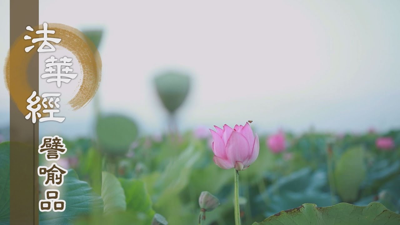 【靜思妙蓮華】法華經譬喻品 - 眾生心善 有緣化度 - 20201123 第563集