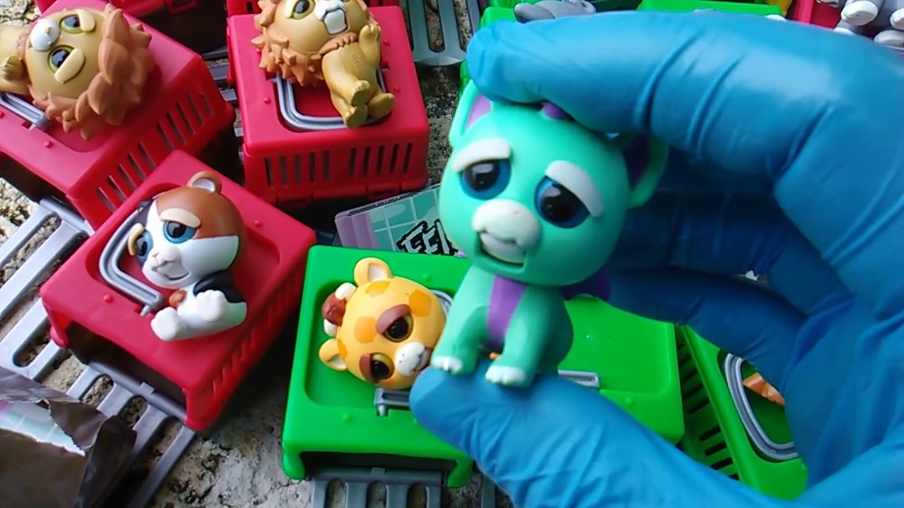 Feisty Pets! Mini Misfits! Full Case of 24! New Toyline!