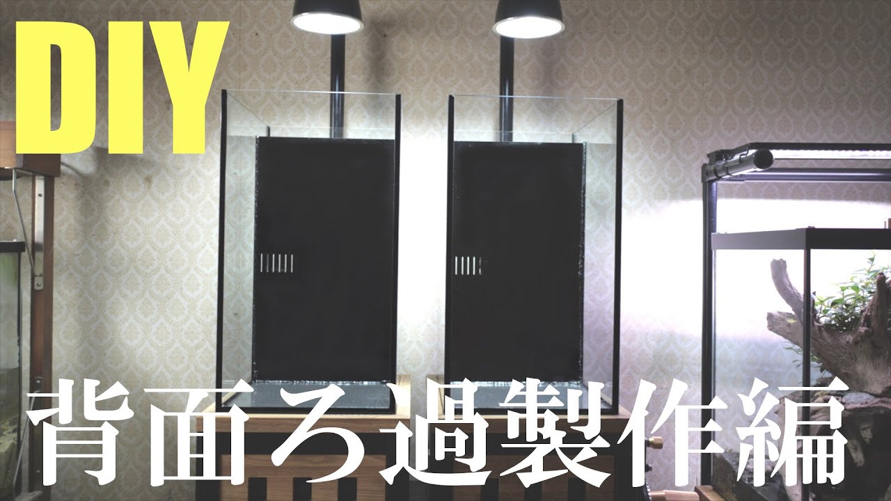 背面ろ過水槽の製作！本気で作る小型水槽計画その５
