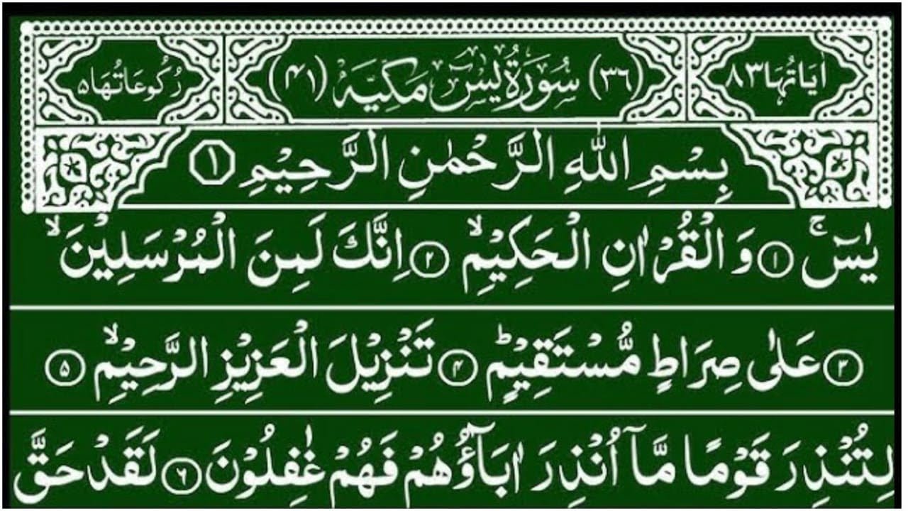 Surah Yaseen Surah Rahman || Emotional Tilawat || Ep 090 || beautiful quran recitation || quran pak 