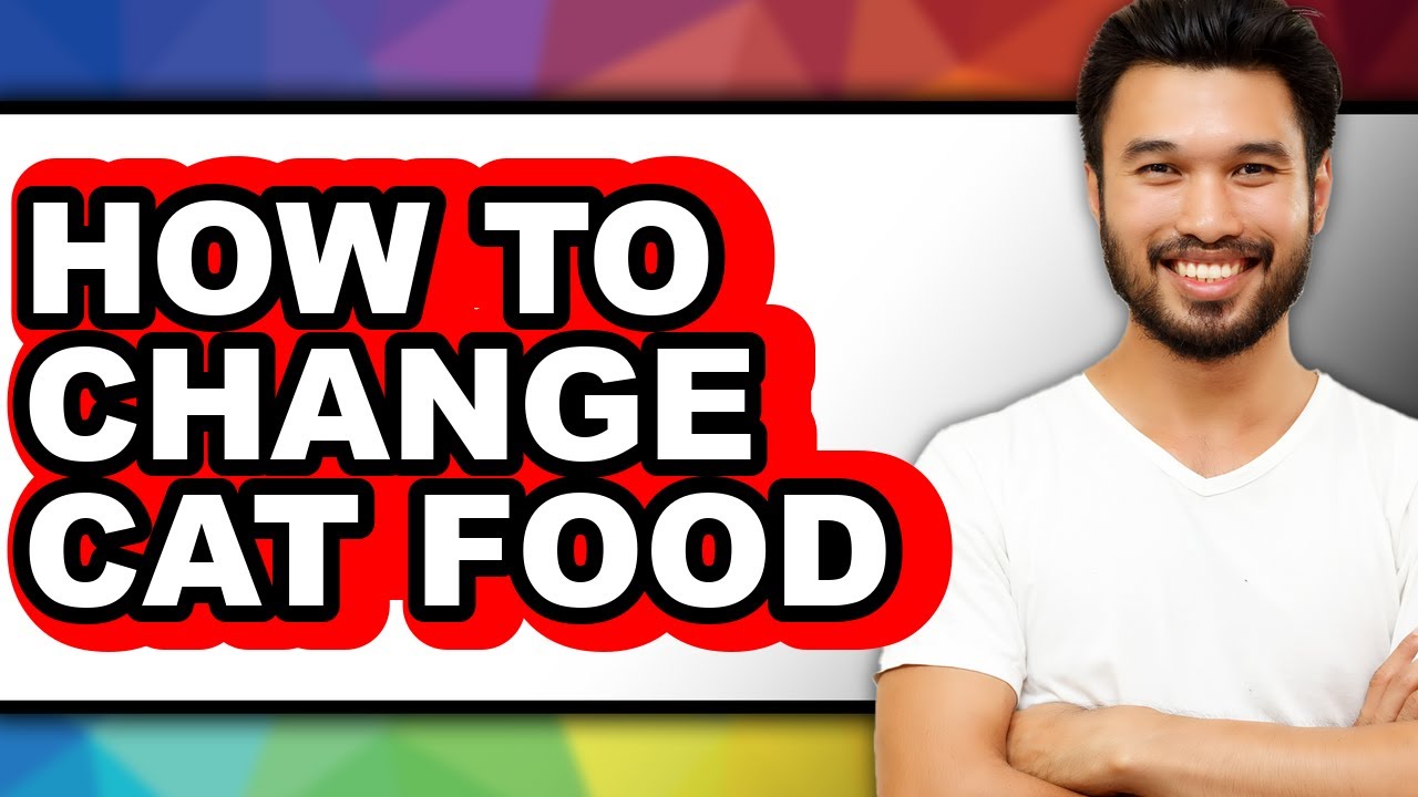 How to Change Cat Food - Step by Step