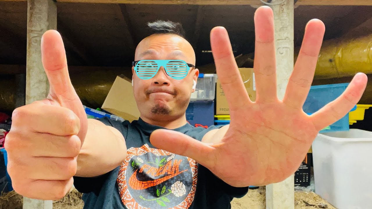 Should you have multiple eBay store accounts? I do. Here's why - How to Grow your eBay Business