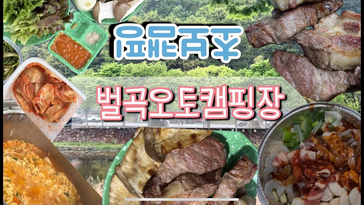 캠핑vlog)비오는 날 캠핑하기/초보캠핑/오토캠핑장/대전근교오토캠핑장/벌곡오토캠핑장/camping #캠핑 #오토캠핑 #초보캠핑 #먹방캠핑