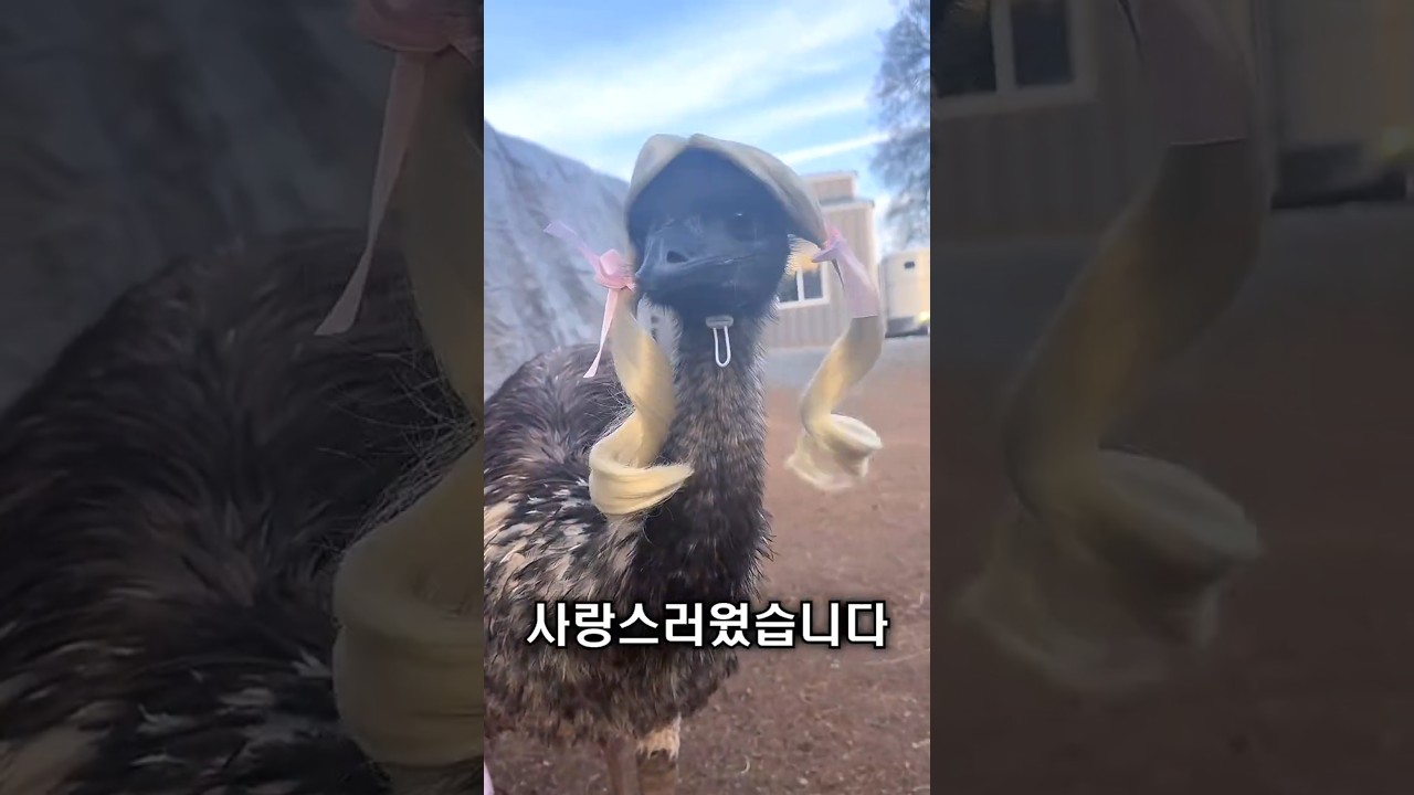 정체불명의 생명, 두려웠던 첫인상