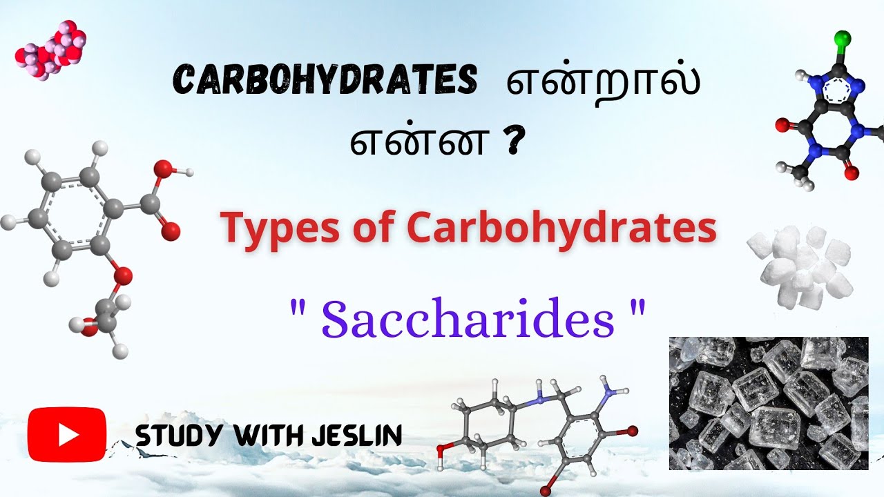 Carbohydrates என்றால் என்ன? Classification of Carbohydrates | Types of Carbohydrates |