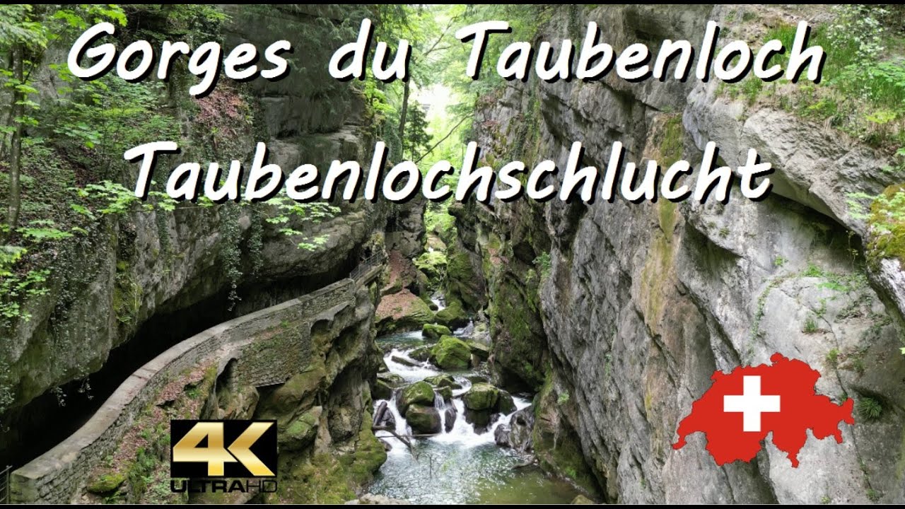 Gorges du Taubenloch 🇨🇭 Taubenlochschlucht / Biel Bienne / 4K