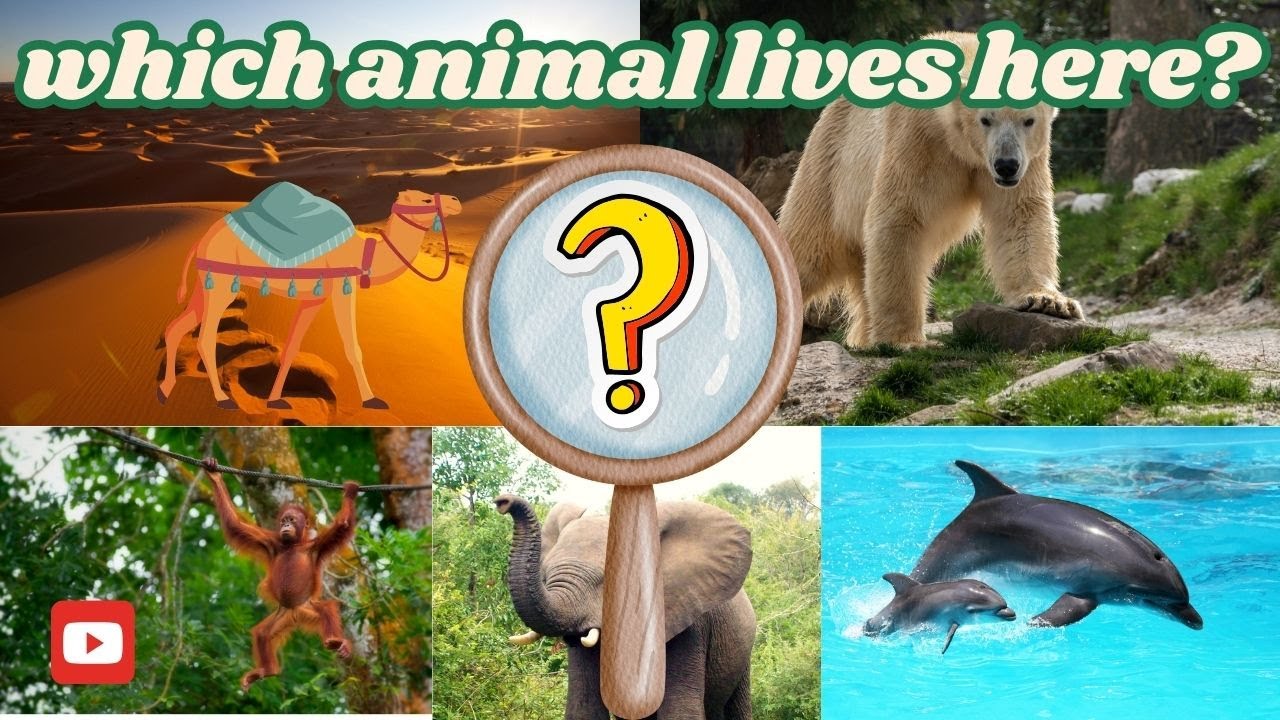 Which Animal Lives Here? Fun Habitat Quiz for Kids!