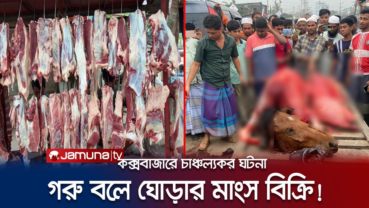 গরু বলে অসুস্থ ঘোড়ার মাংস বিক্রি! কসাইয়ের অভিনব প্রতারণা | Horse Meat Sell | Jamuna TV
