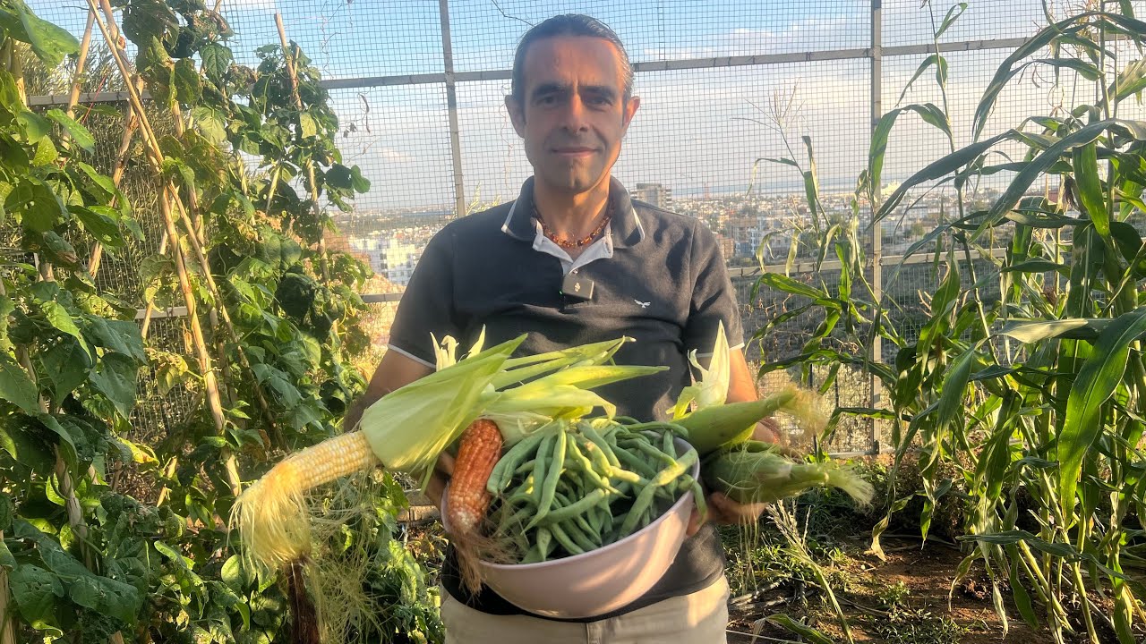 Yağmurdan sonra güz bahçemiz 🫛🌽
