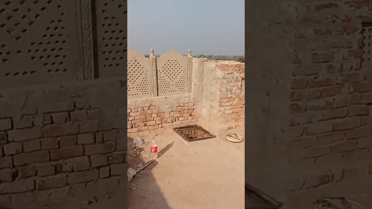 IKRAM DYU DAILY VLOGS is live! pigeon 🕊️ love flying 🪽