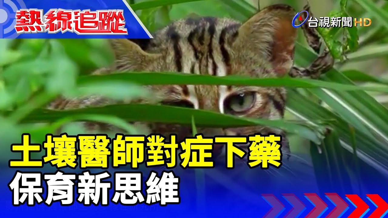土壤醫師對症下藥 保育新思維【熱線追蹤】