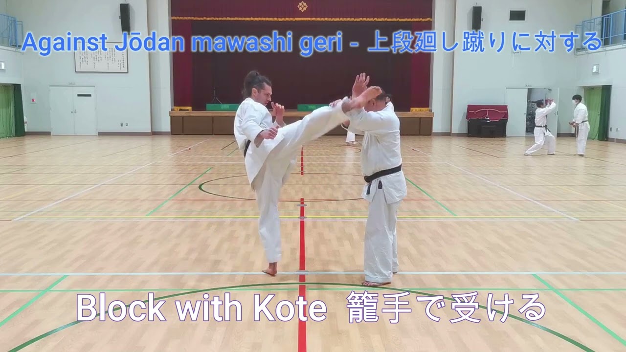Uechi Ryū 上地流 -  defensive techniques 受け技